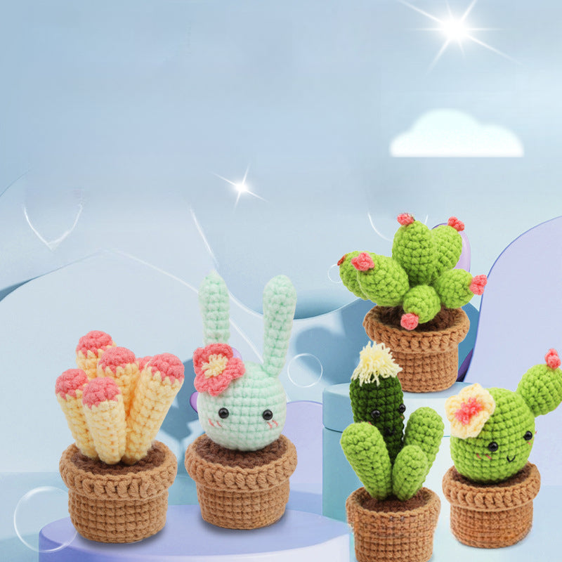 Cute Potted Plant Crochet DIY Kit With Video Tutorial For Beginners